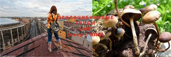 мет Нефтекумск